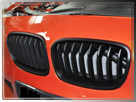 BMW 1-Series F20 F21 2011-2015 Front Grille