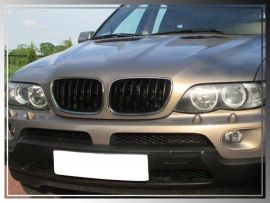BMW 7 Series X5 E53 2000-2003 Front Grille